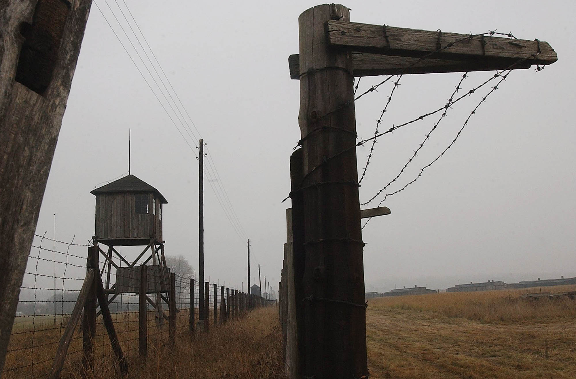 German probe finds 20 former death camp guards