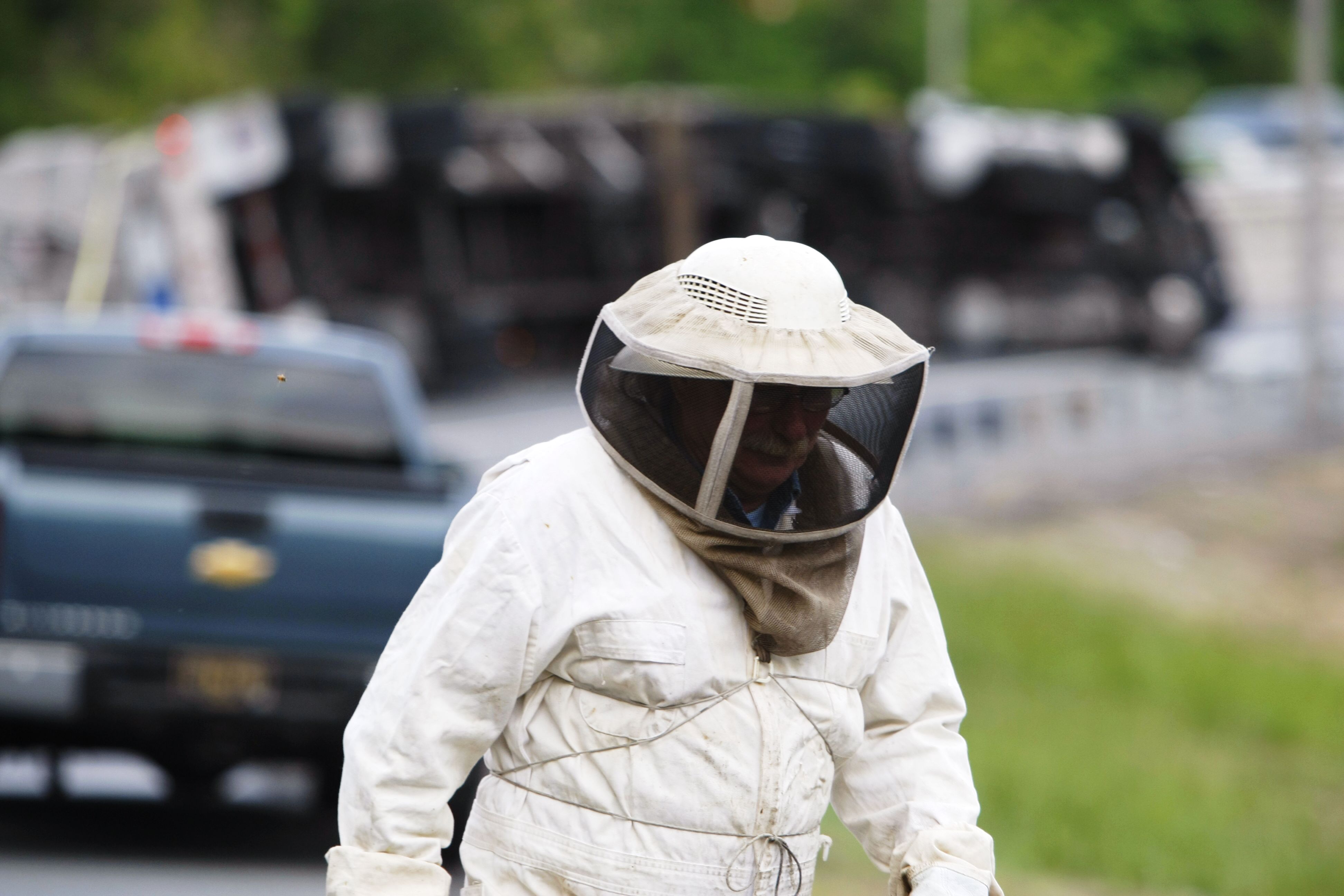 Millions of bees swarm, close Del. highway ramp