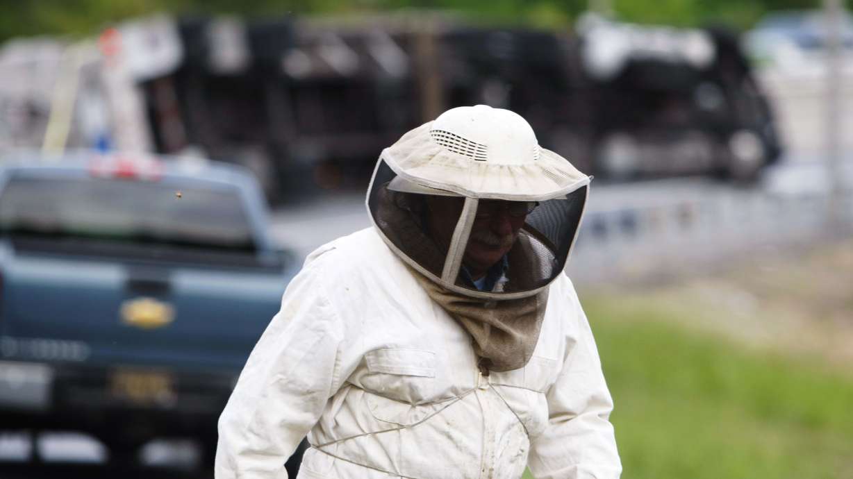 Millions of bees swarm, close Del. highway ramp