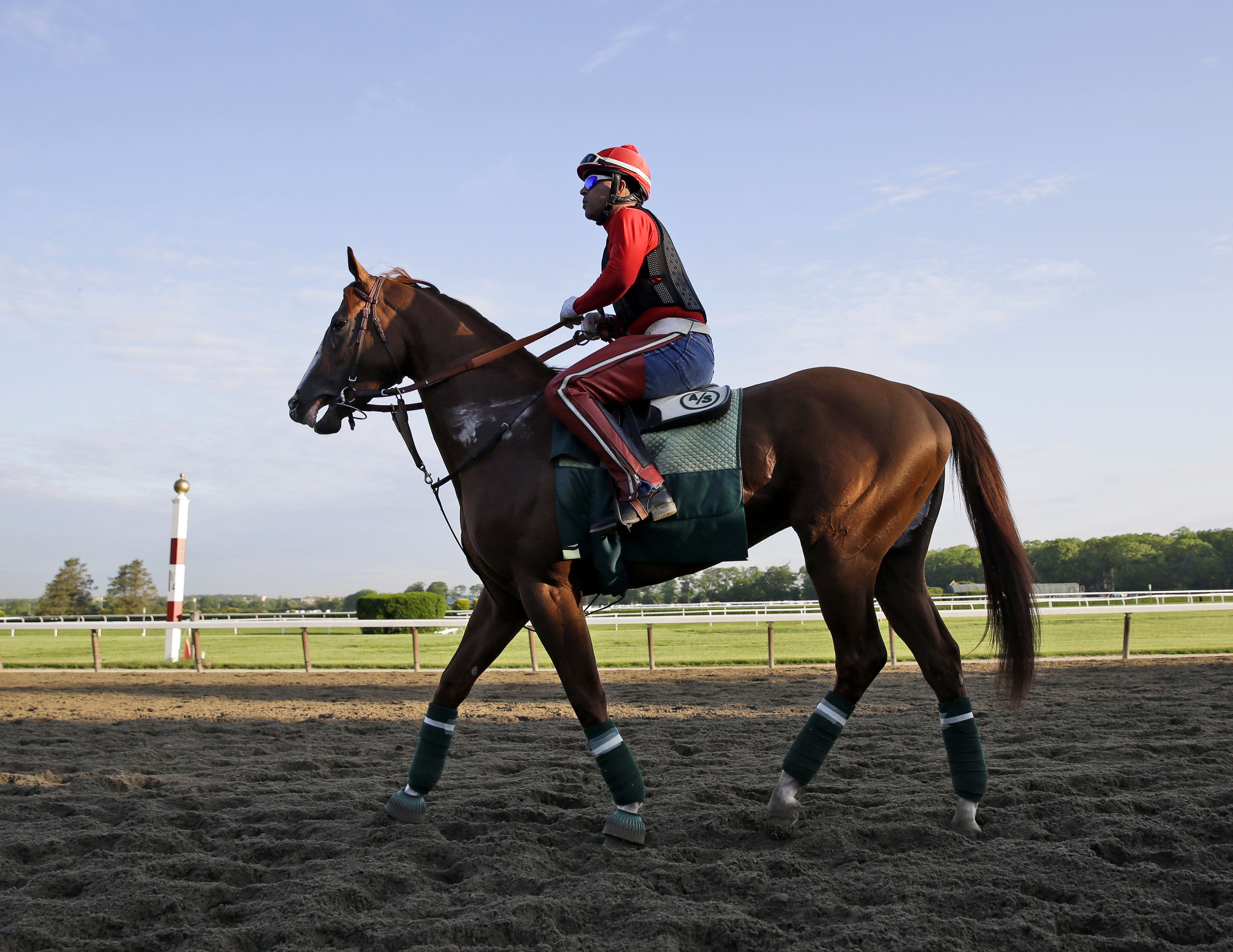 California Chrome jogs for 1st time at Belmont