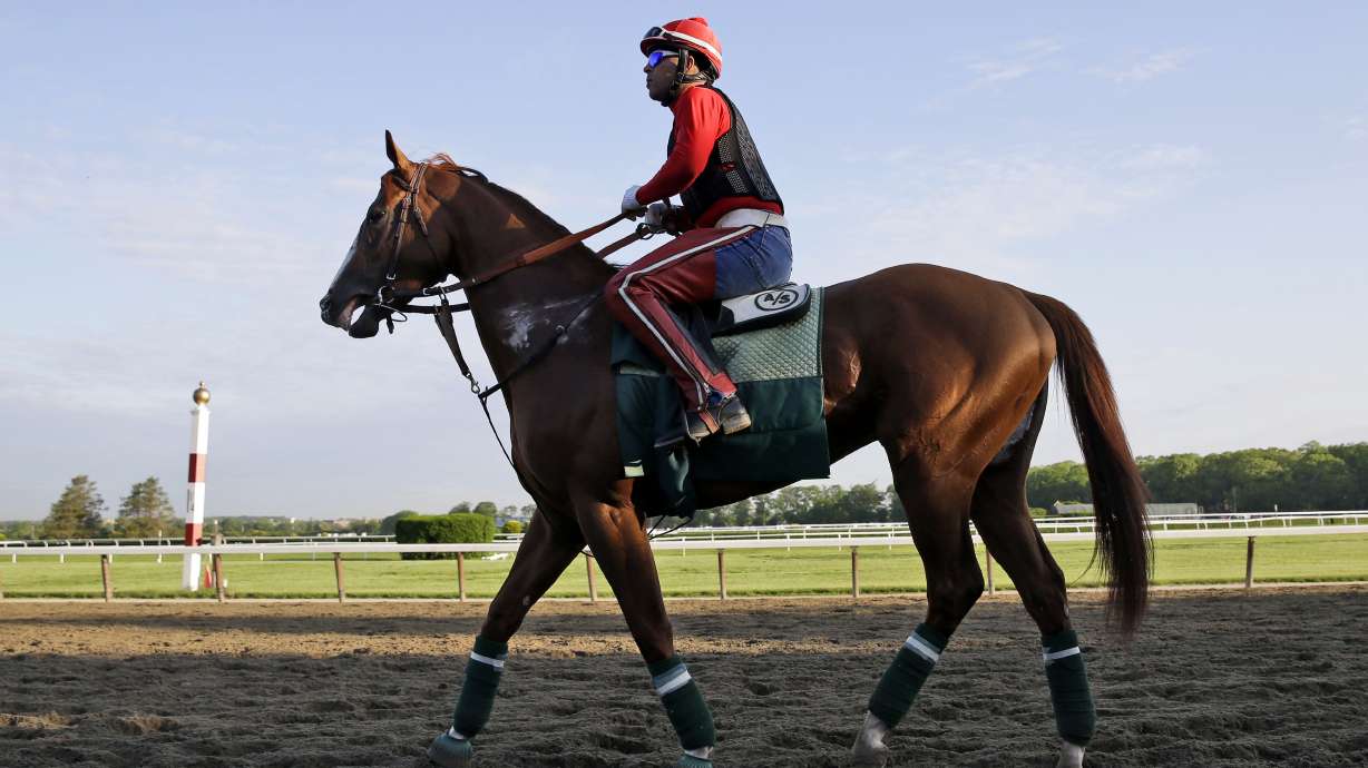 California Chrome jogs for 1st time at Belmont