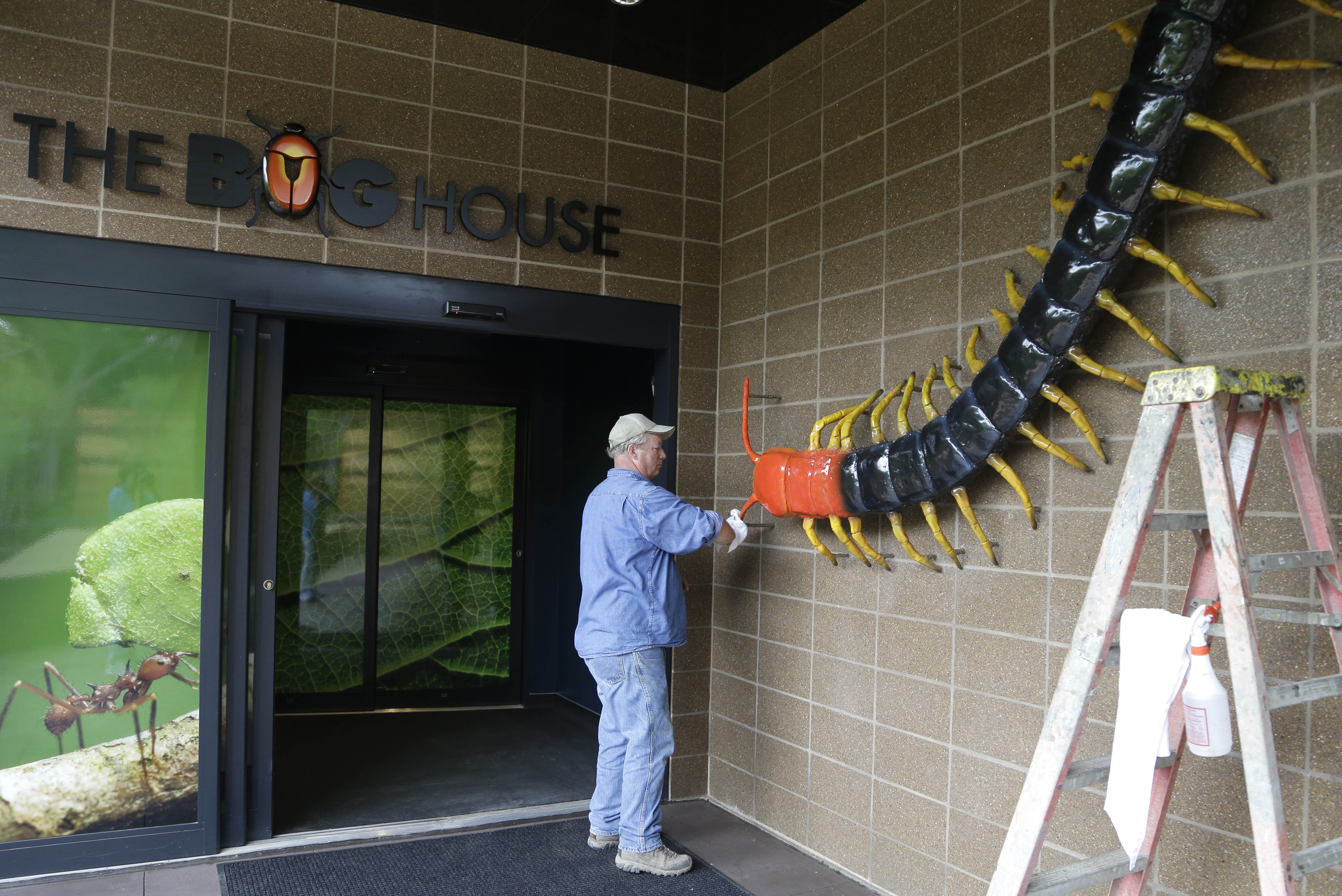 Exotic bugs get new home at Houston Zoo