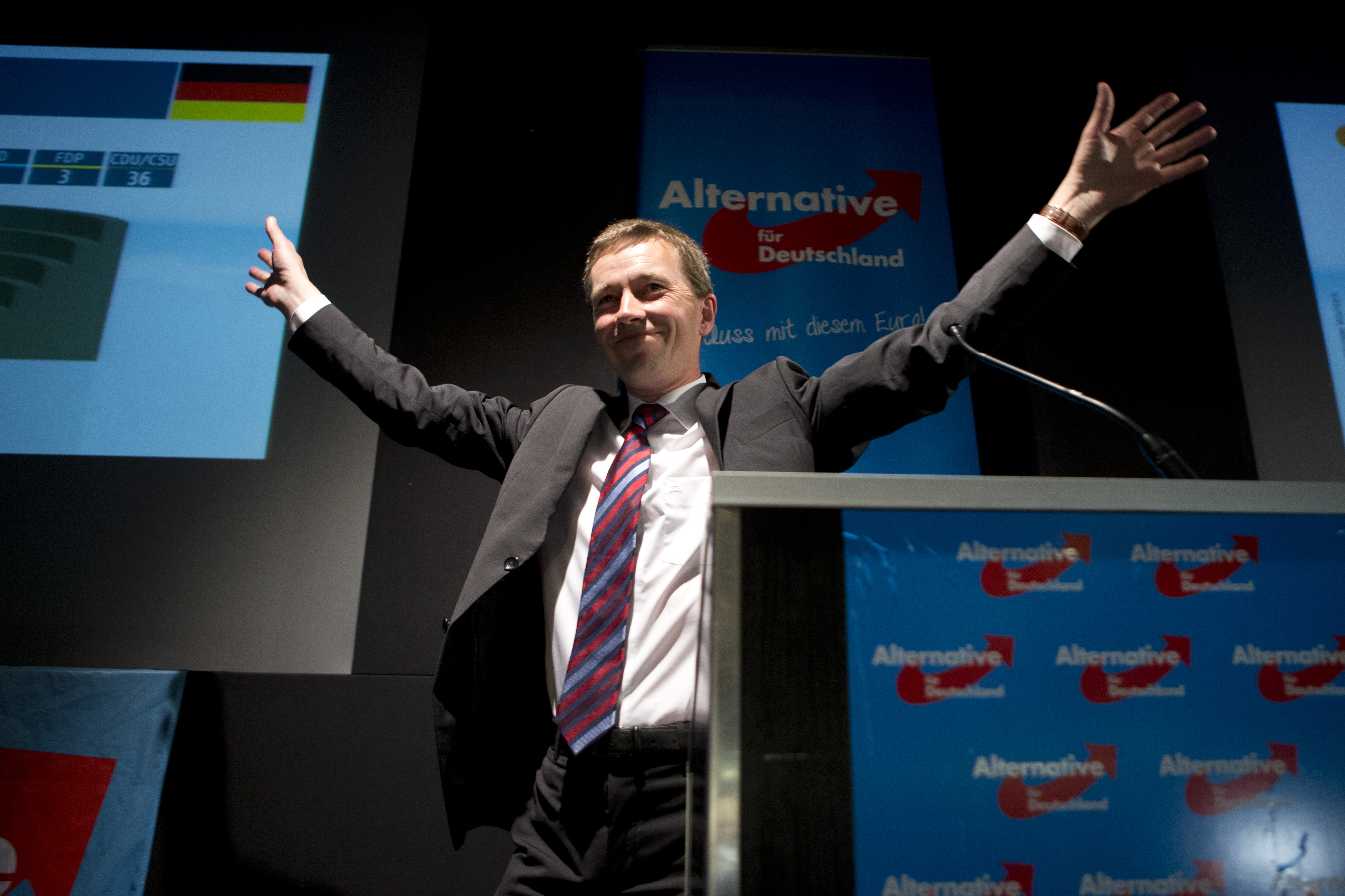 German anti-euro party set to enter EU parliament