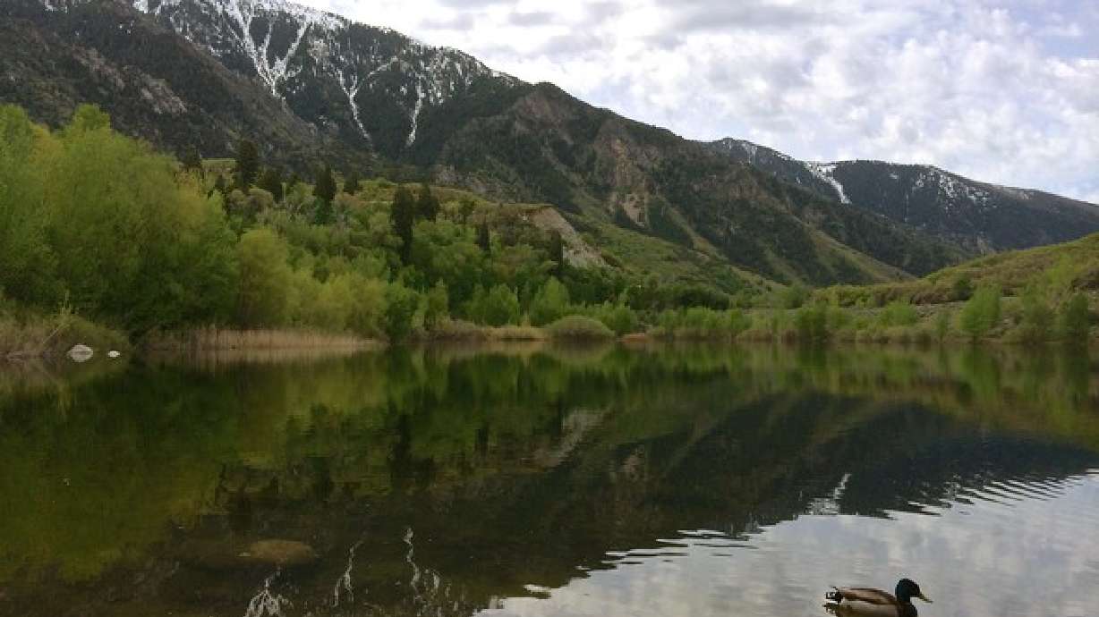 Why you should hike to Bells Canyon reservoir, waterfall