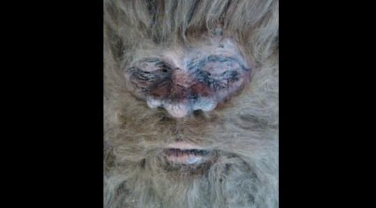 Hunter confesses that Bigfoot body is a fake &mdash; again