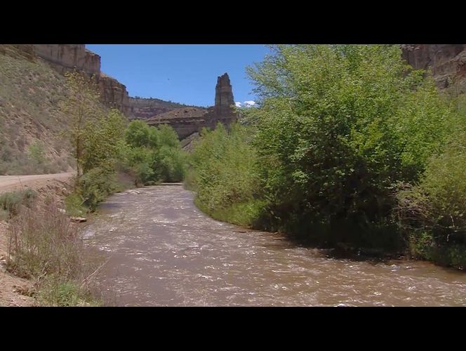 Niña cae a un rio y lucha por su vida
