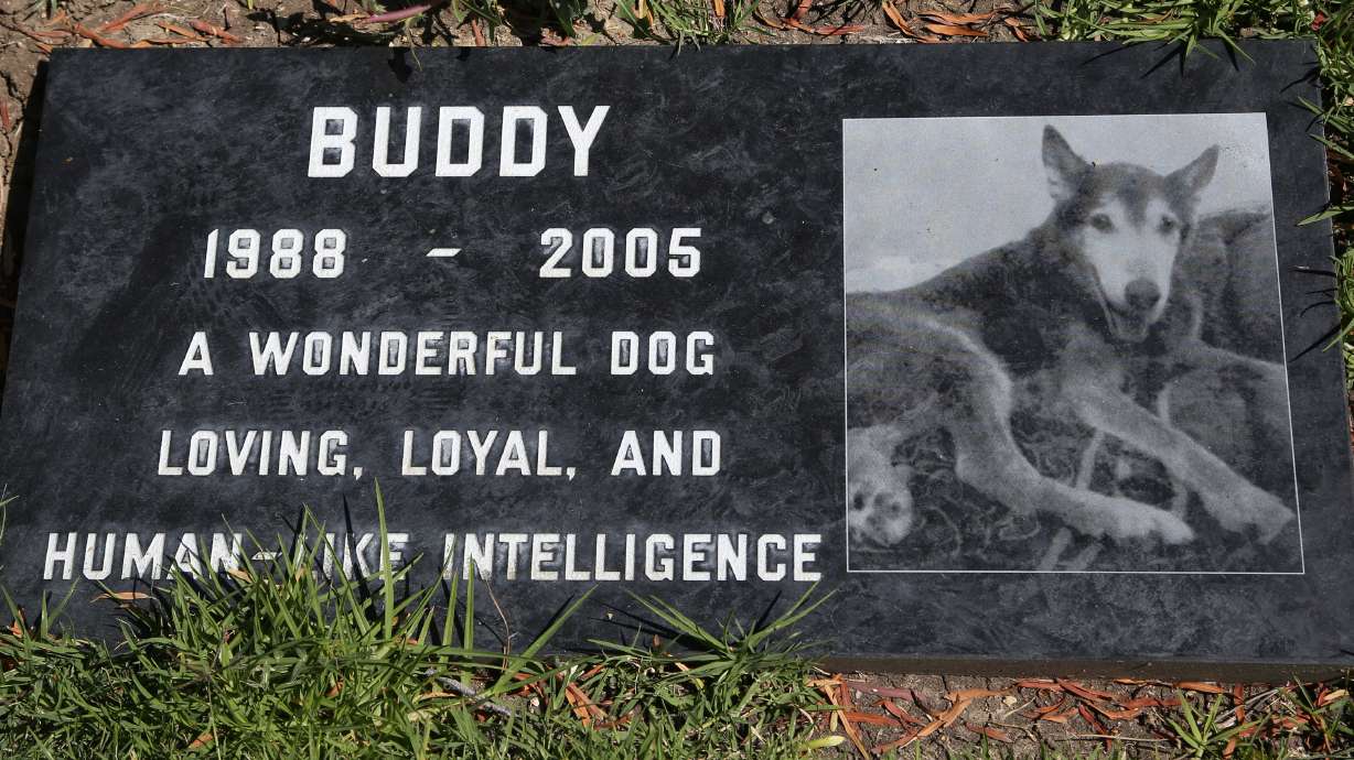 Pet burials range from bottom of sea to sky above