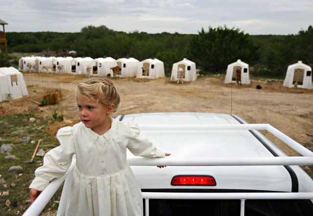 Sheriff: Texas polygamists didn't come to South Dakota
