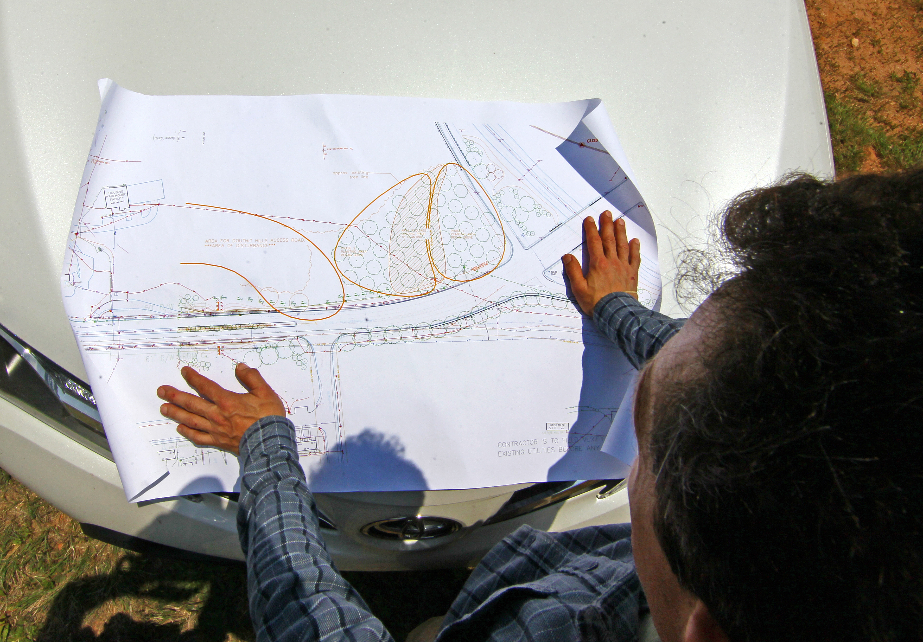 Clemson to revive long-forgotten pecan orchard