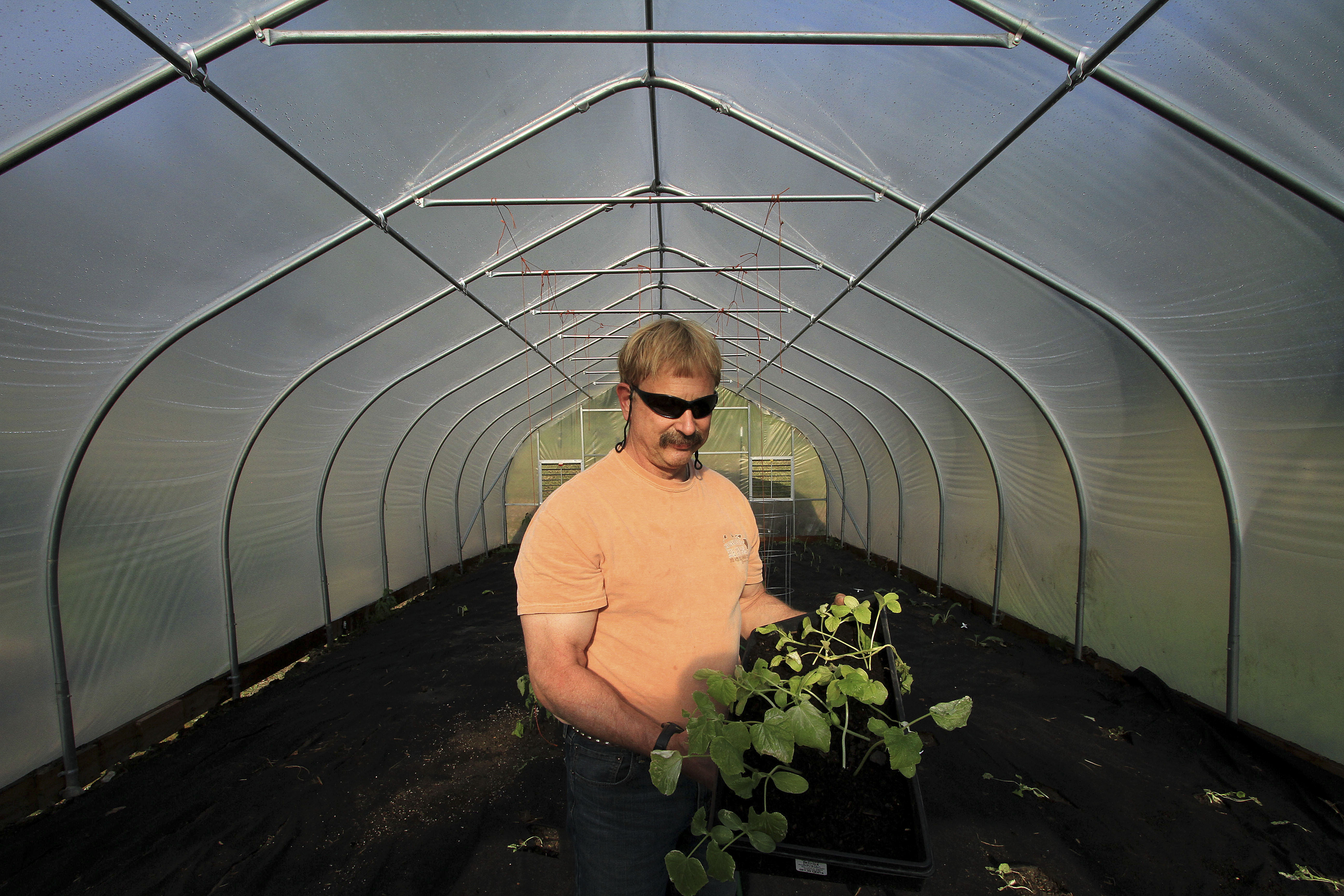 High tunnels extend Alaska's growing season