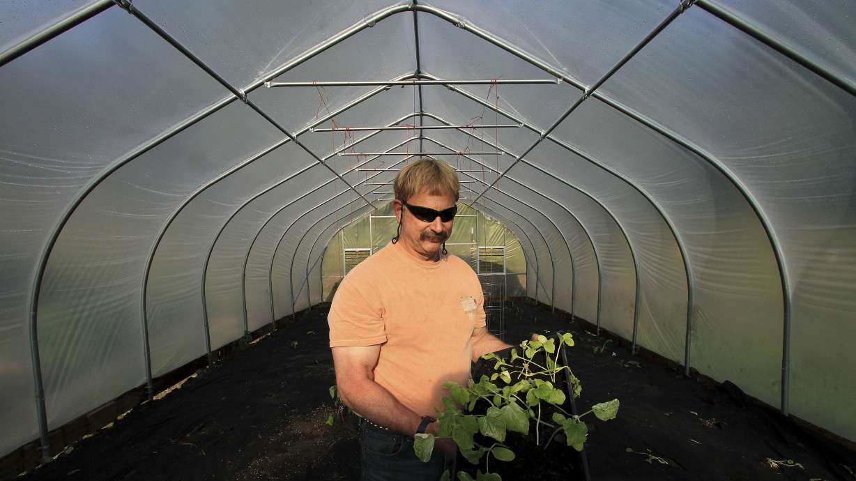 High tunnels extend Alaska's growing season
