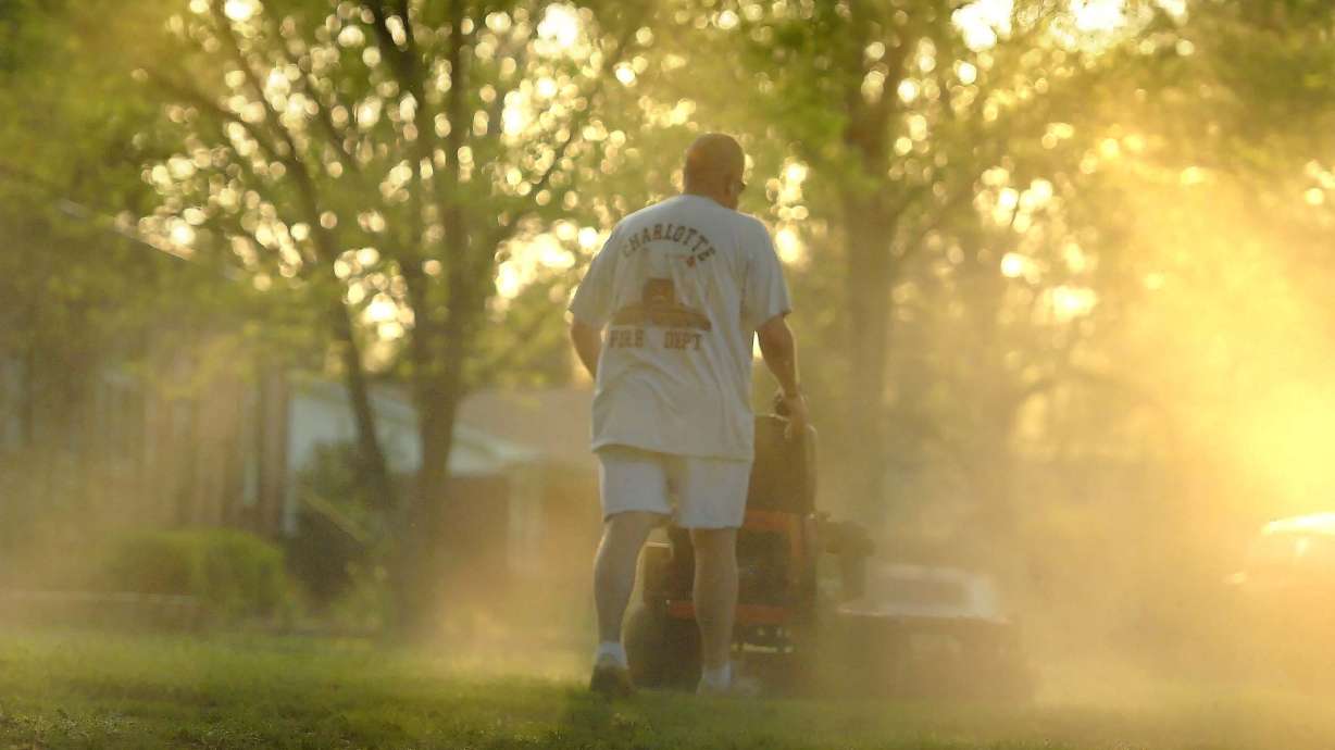 New allergy tablets offer alternative to shots