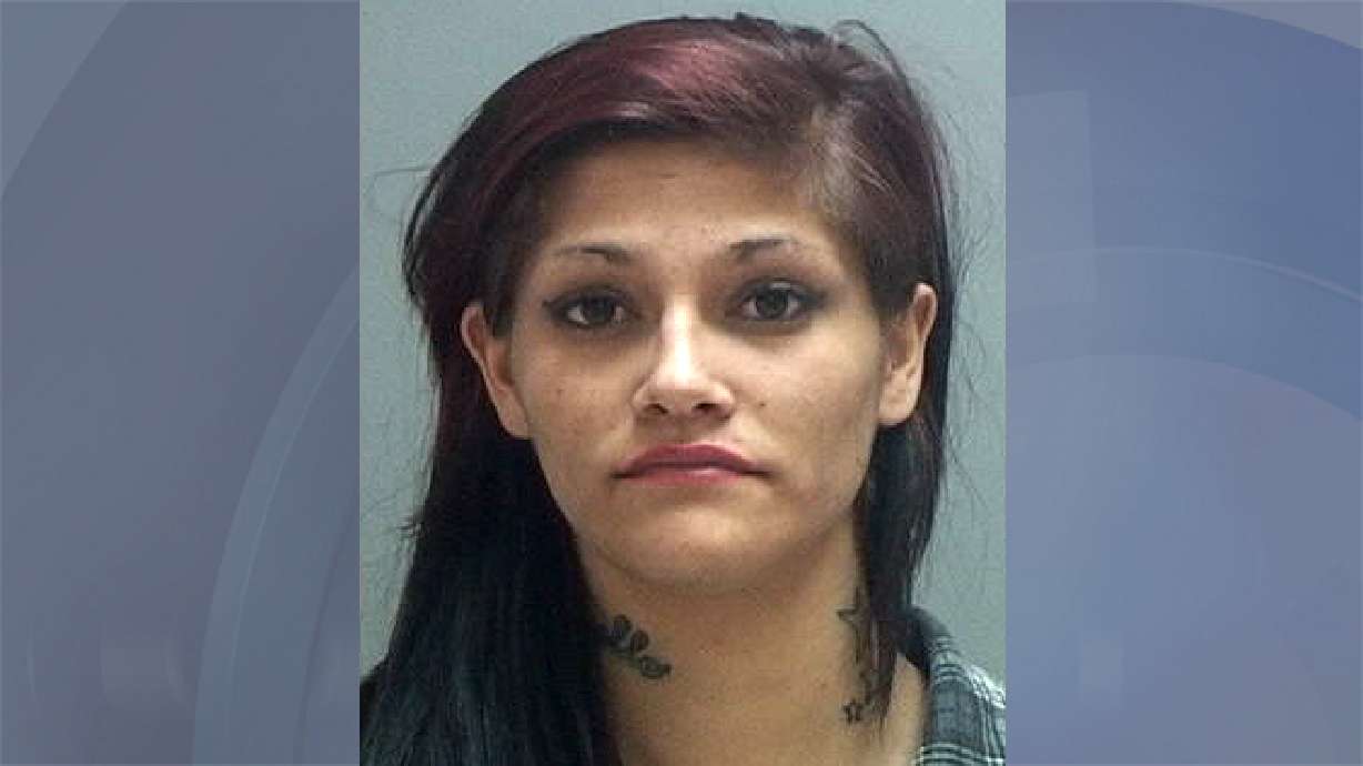 Wrong-way driver of stolen car attacks officer during stop, police say