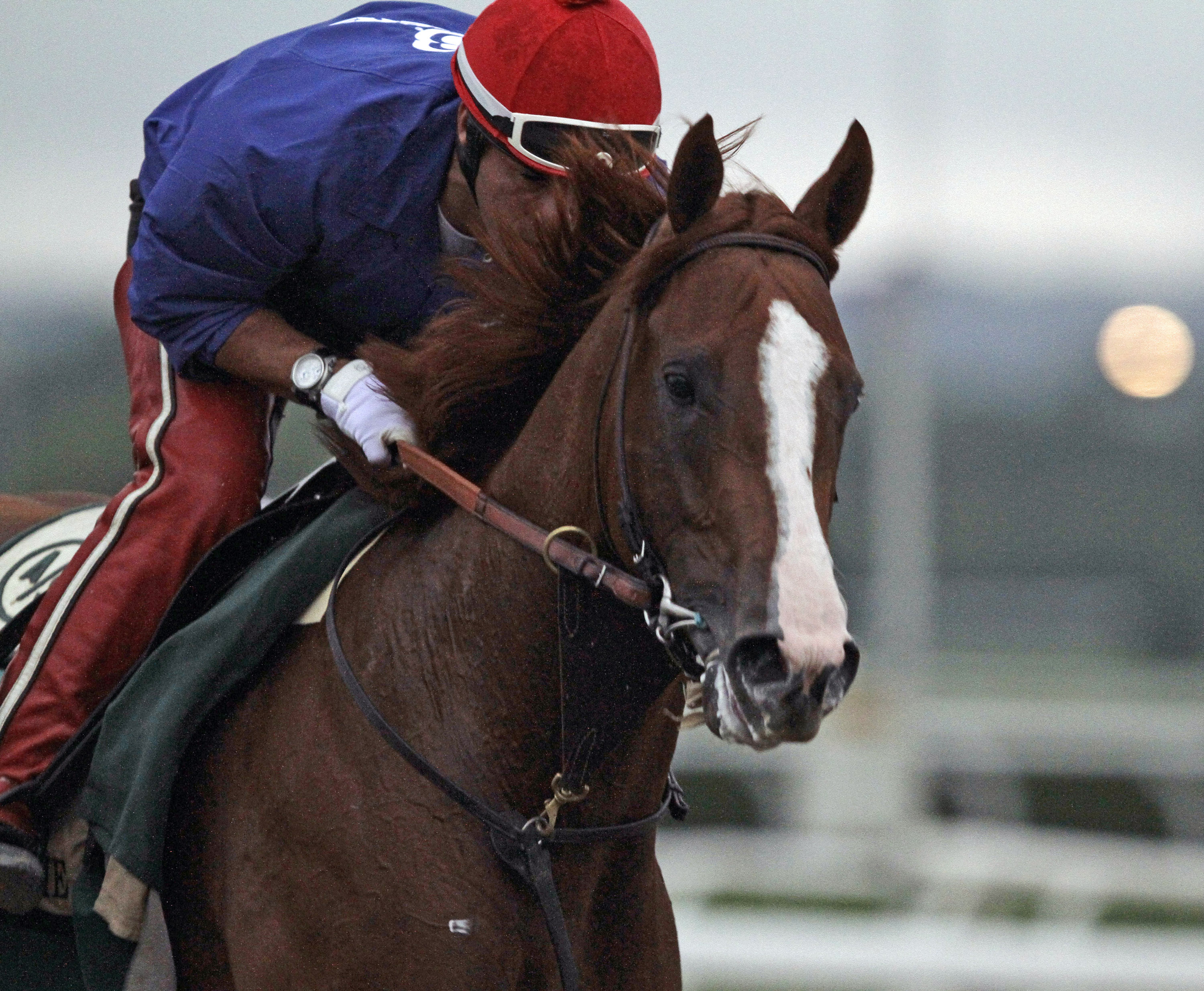 Myriad factors make winning Triple Crown so tough