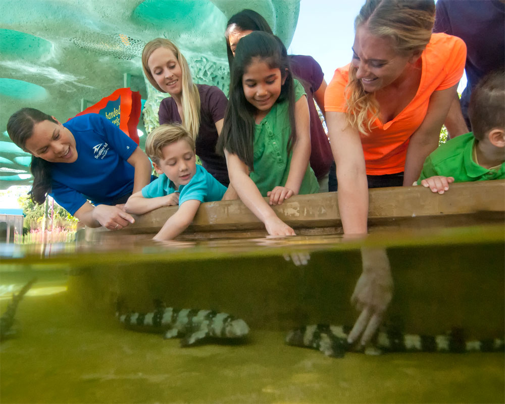 Top 10 Southern California theme parks for this summer!