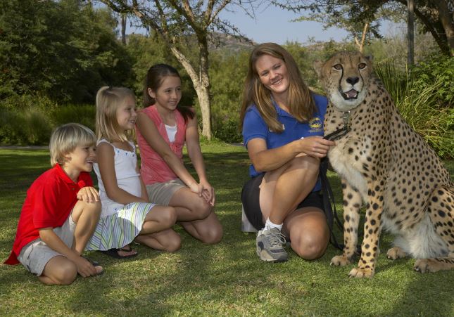 Top 10 Southern California theme parks for this summer!