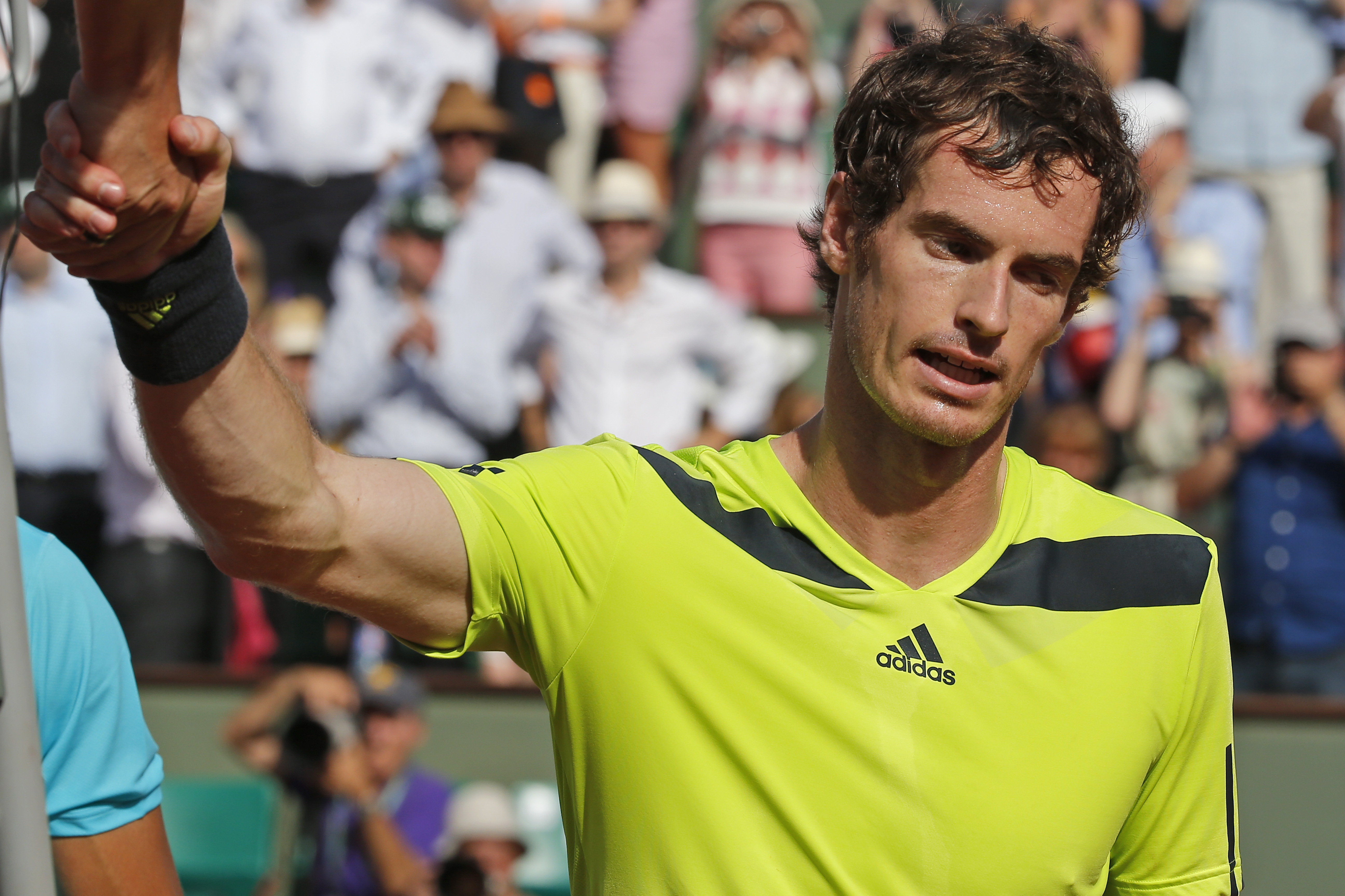 Andy Murray hires Amelie Mauresmo as coach