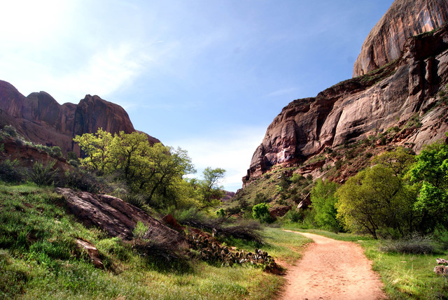 Despite name, people should hike Negro Bill Canyon trail