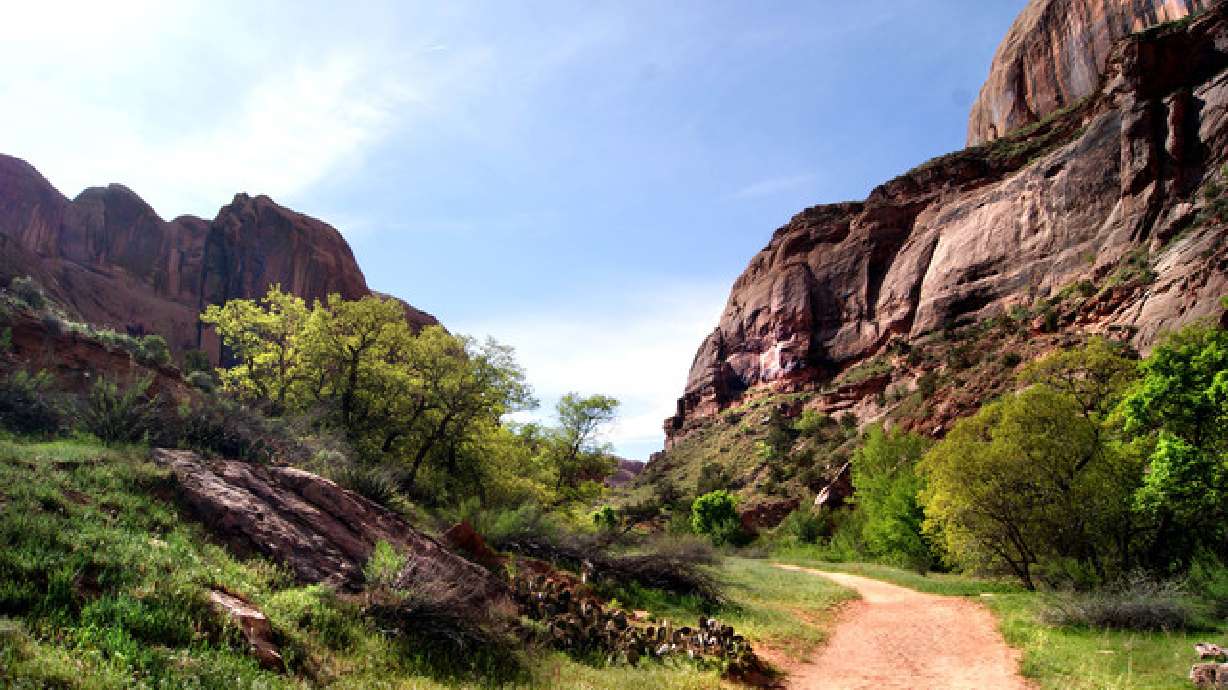 Despite name, people should hike Negro Bill Canyon trail