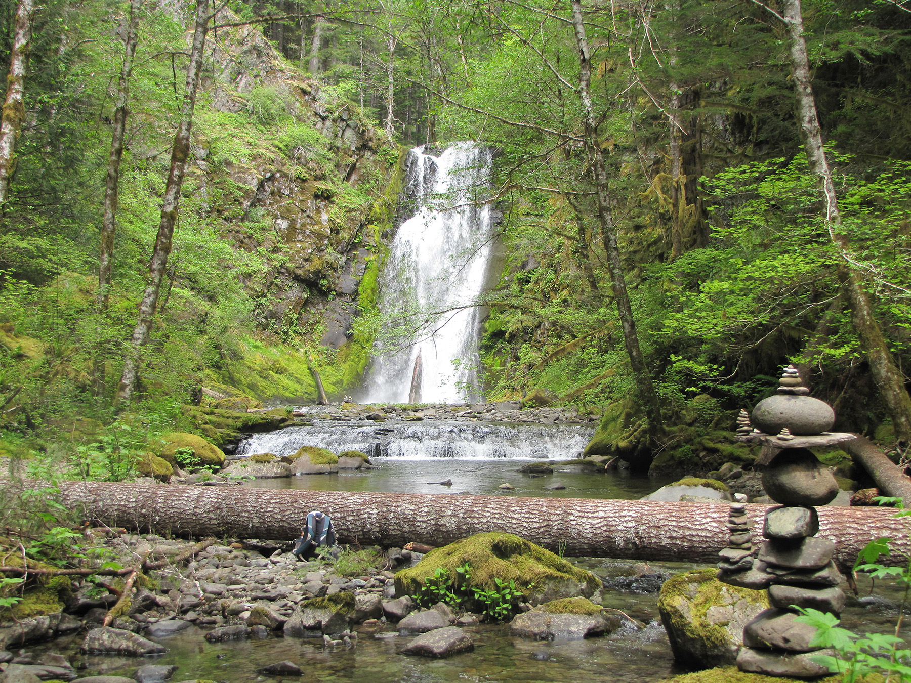 Emerald pools, mossy trees on this forest hike