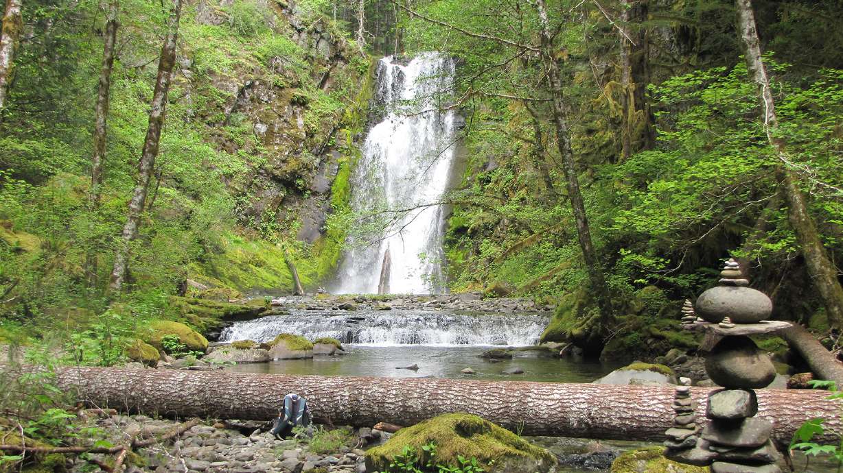 Emerald pools, mossy trees on this forest hike