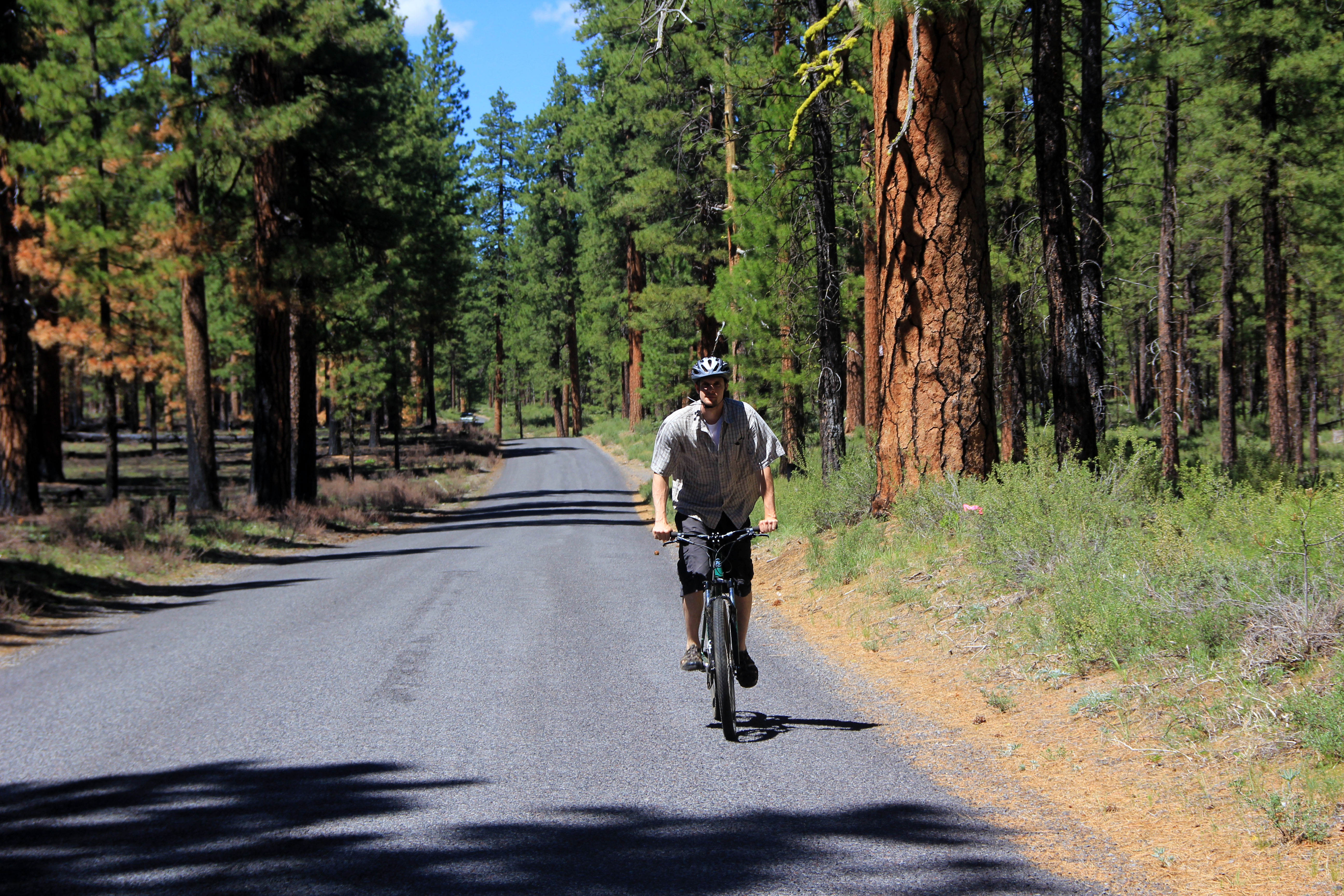 Metolius Bikeway: an enchanted route for all