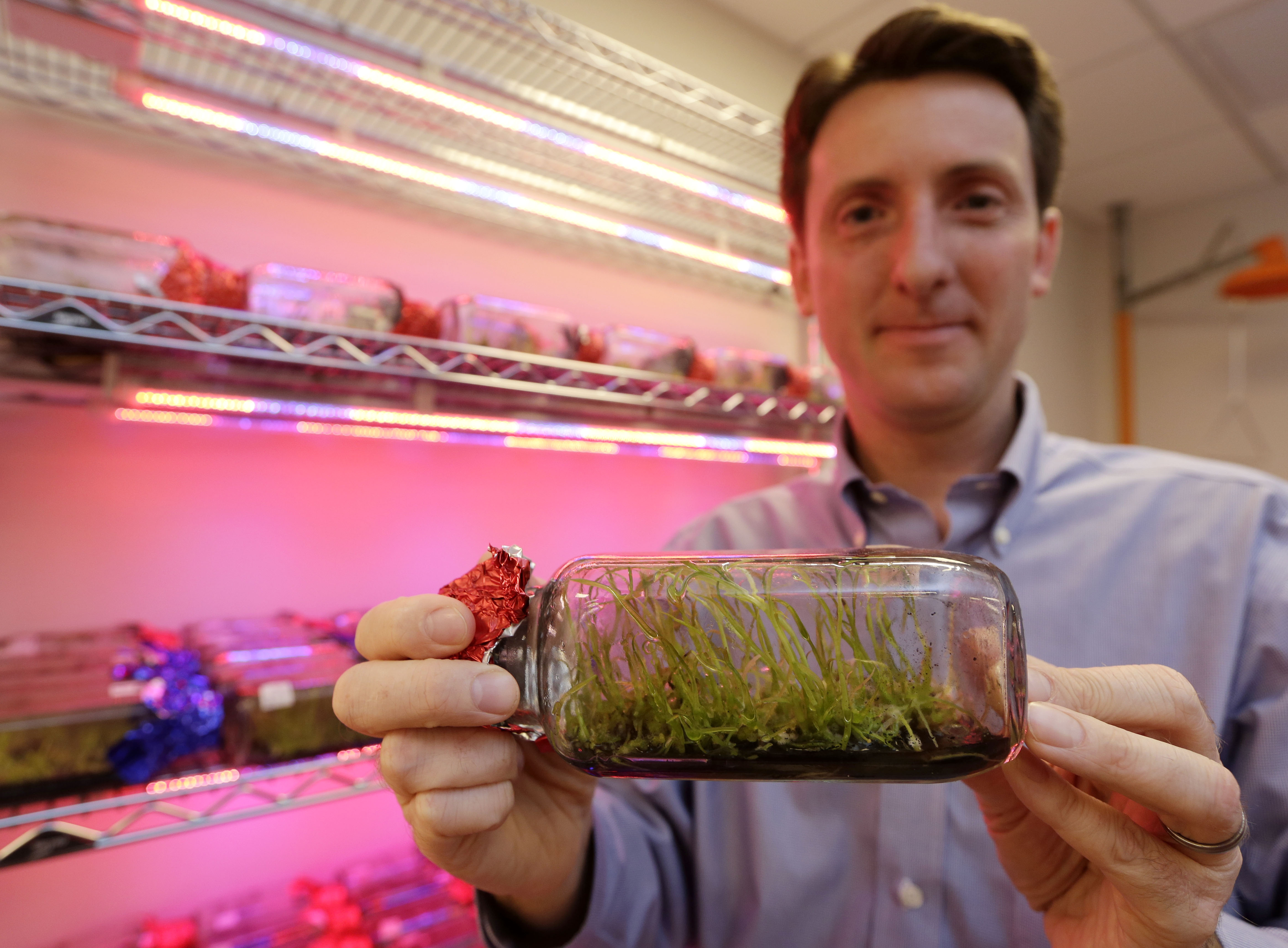 Lab project aims to revive rare Florida orchids