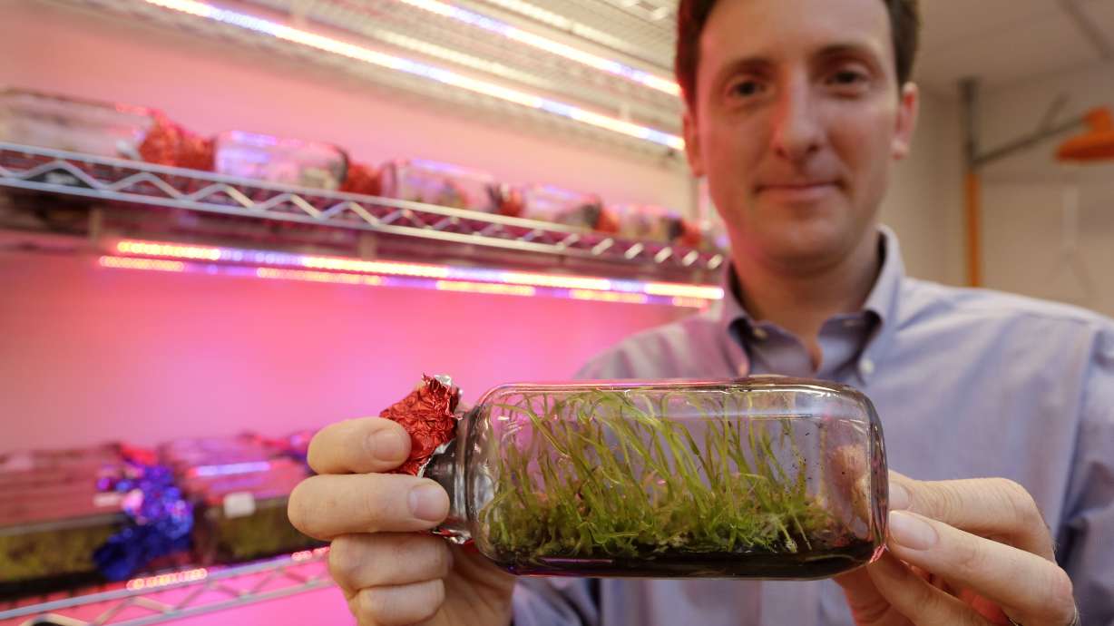 Lab project aims to revive rare Florida orchids