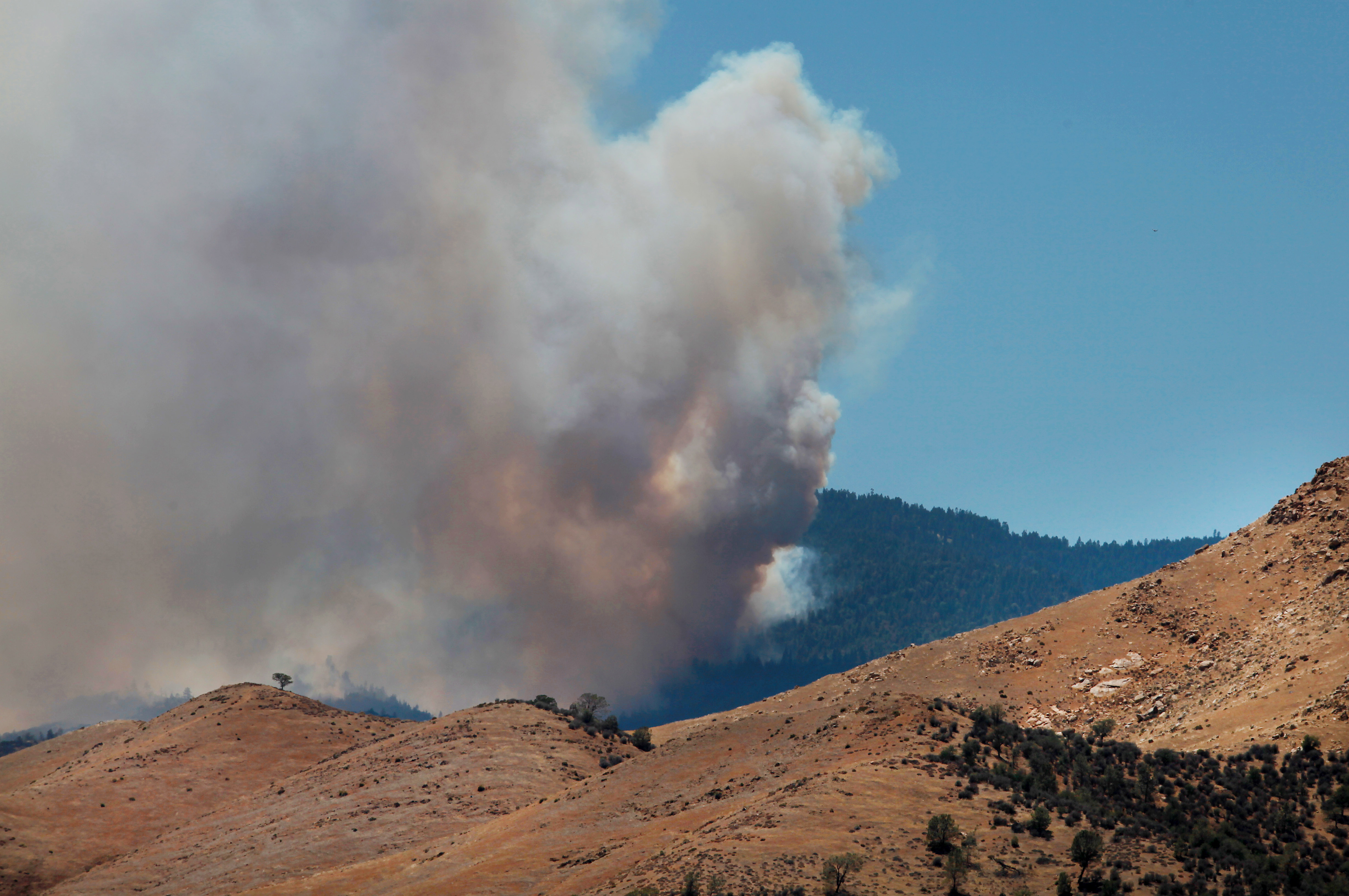 Navajo Nation wildfire threatens homes, livestock