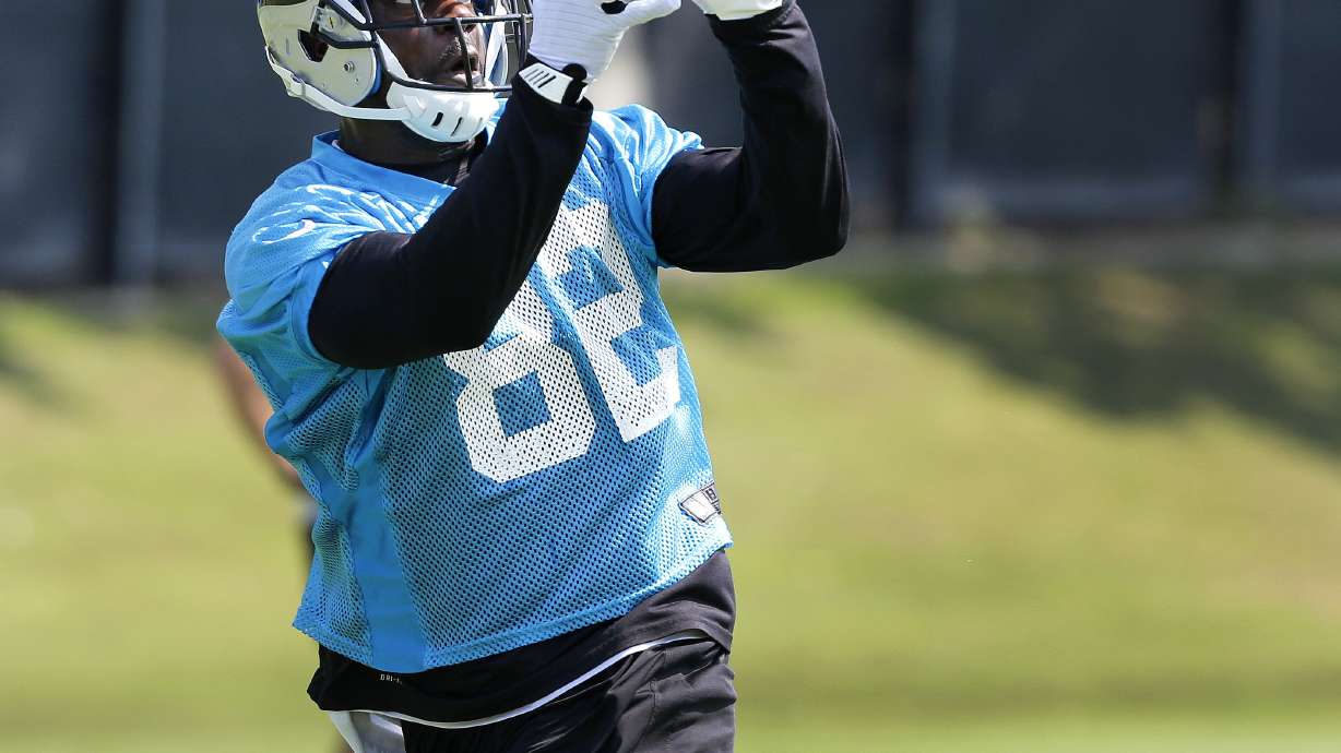 Avant: Panthers don't need big-name WRs to win