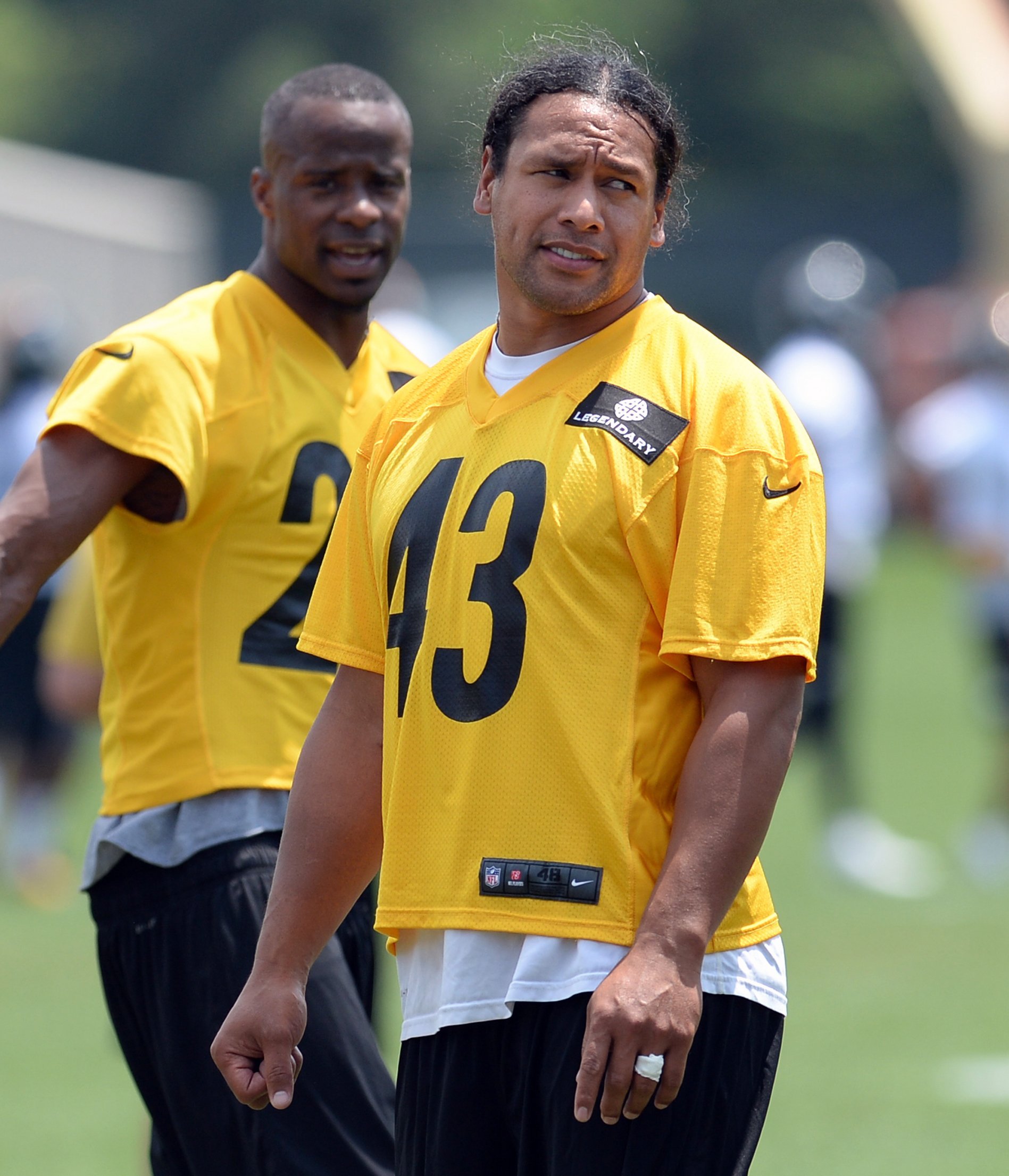 Healthy Polamalu eager for 2013 encore