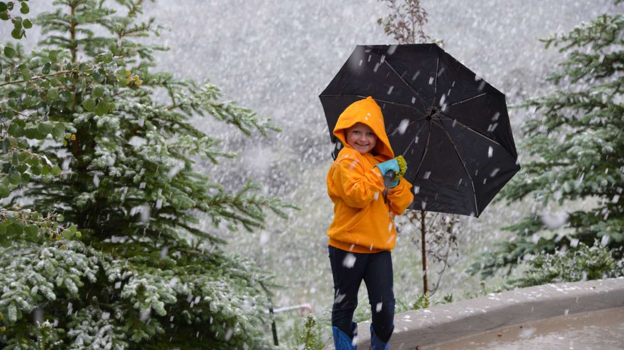 User photos: This week in news