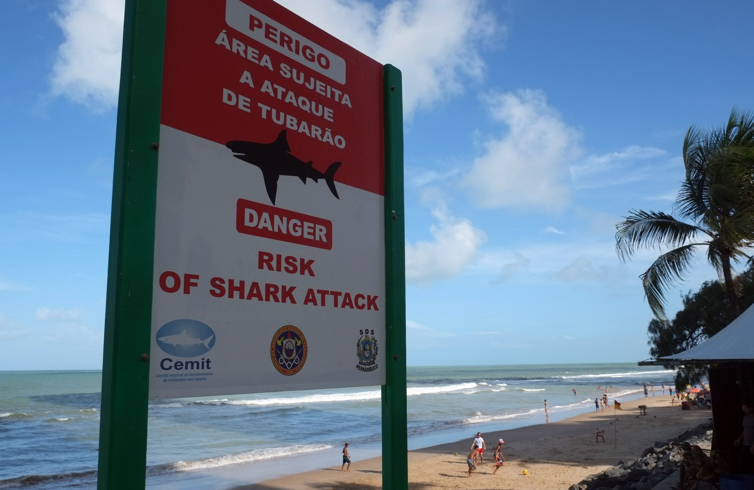 Recife works to warn World Cup visitors of sharks