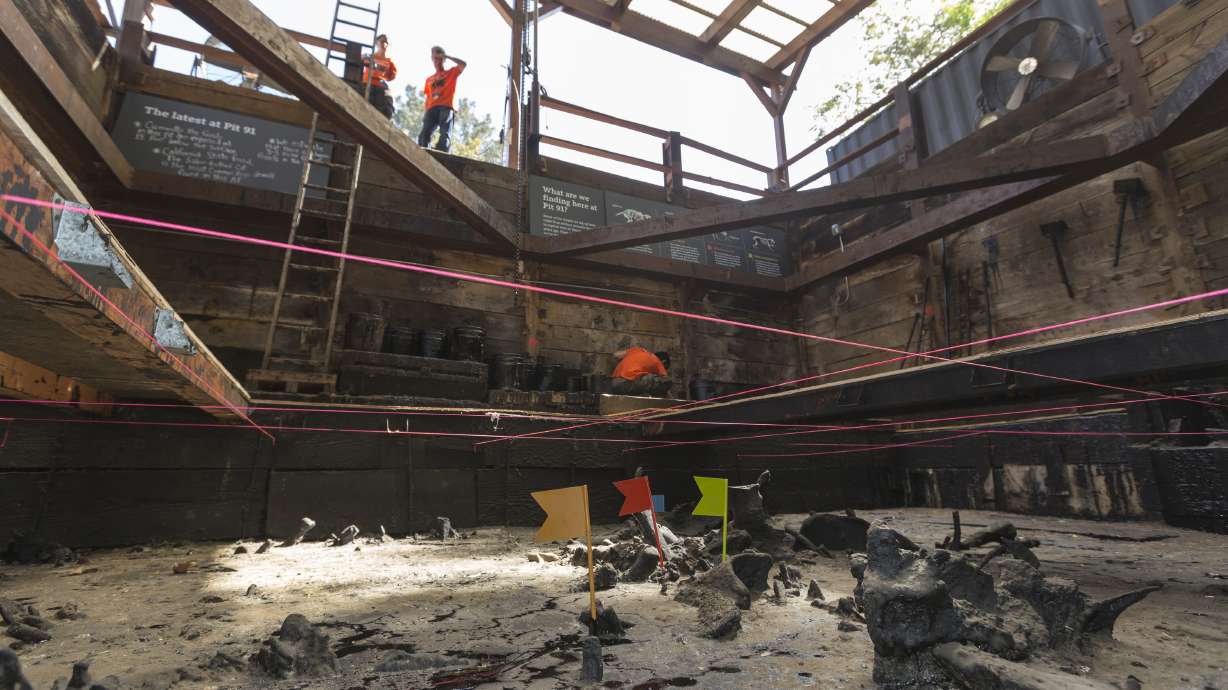 Scientists resume digging at La Brea Tar Pits