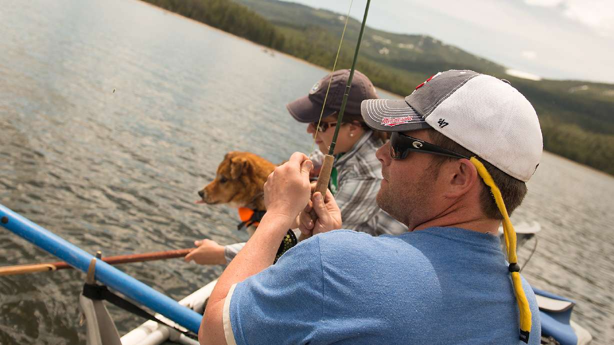 Hungry trout on Montana's Hebgen Lake