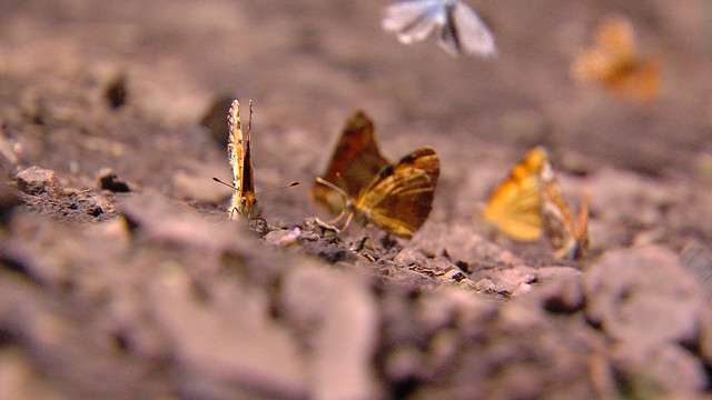 Under 'review' by school district, Provo summer camp defended by parents