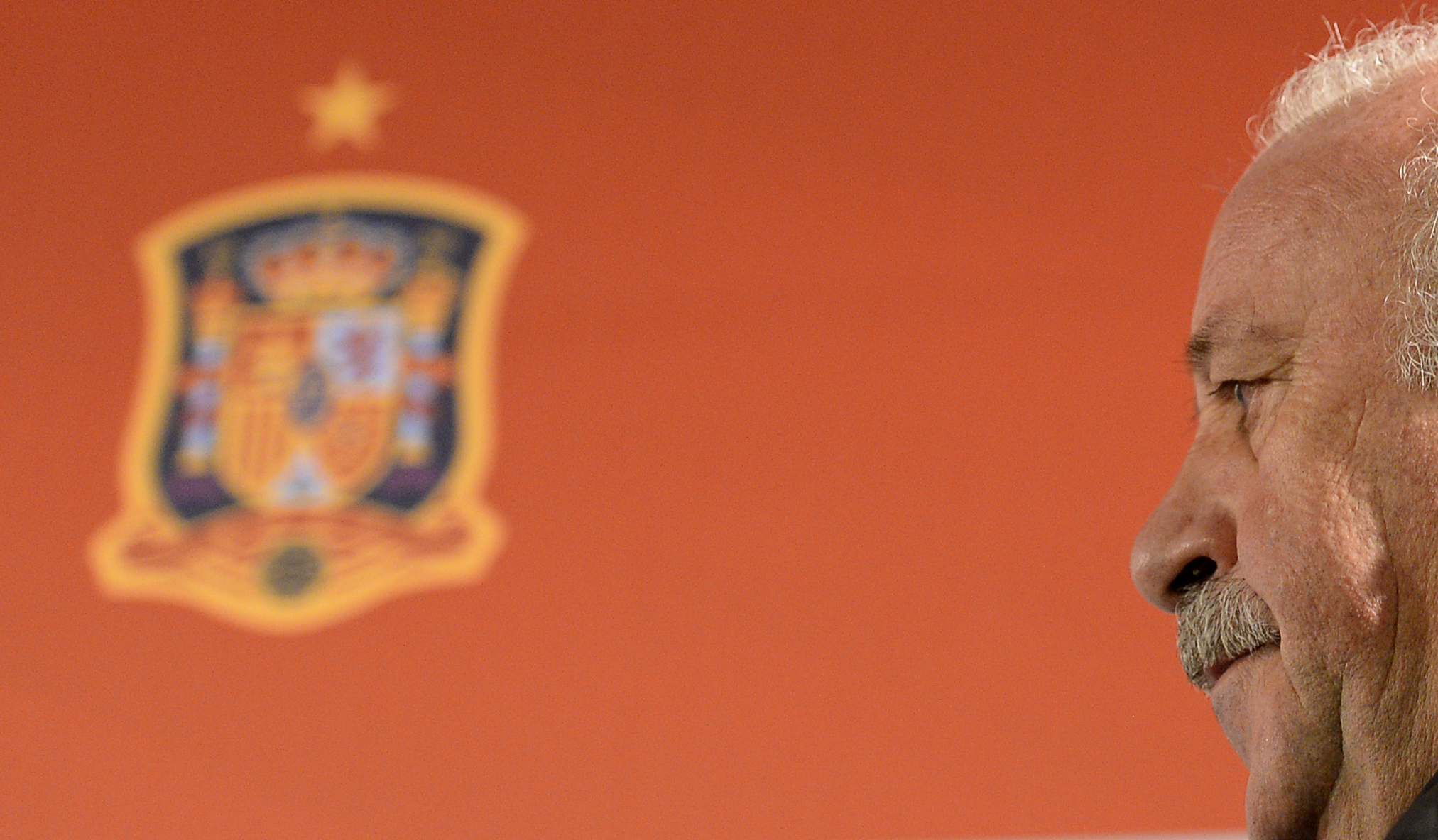 Del Bosque puzzled over Spain's World Cup exit