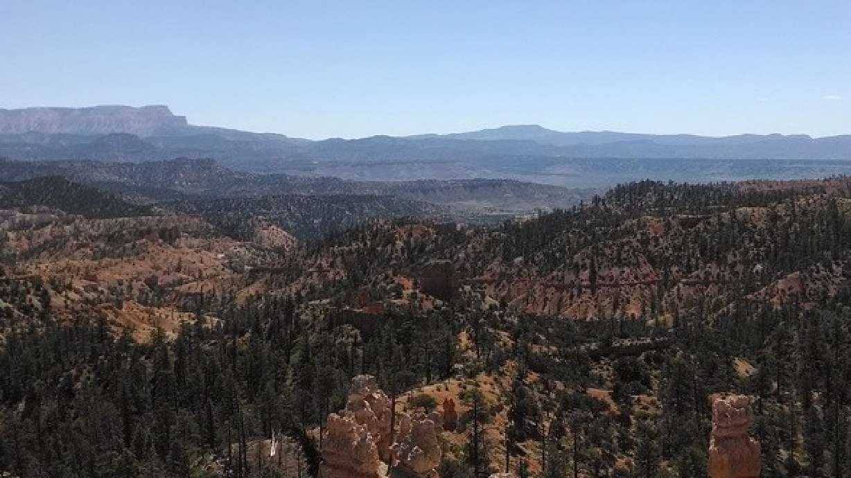 5 family-friendly activities to do on a visit to Bryce Canyon