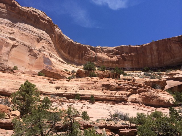 Hike of the Week: Neck Spring Trail