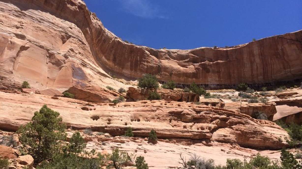 Hike of the Week: Neck Spring Trail