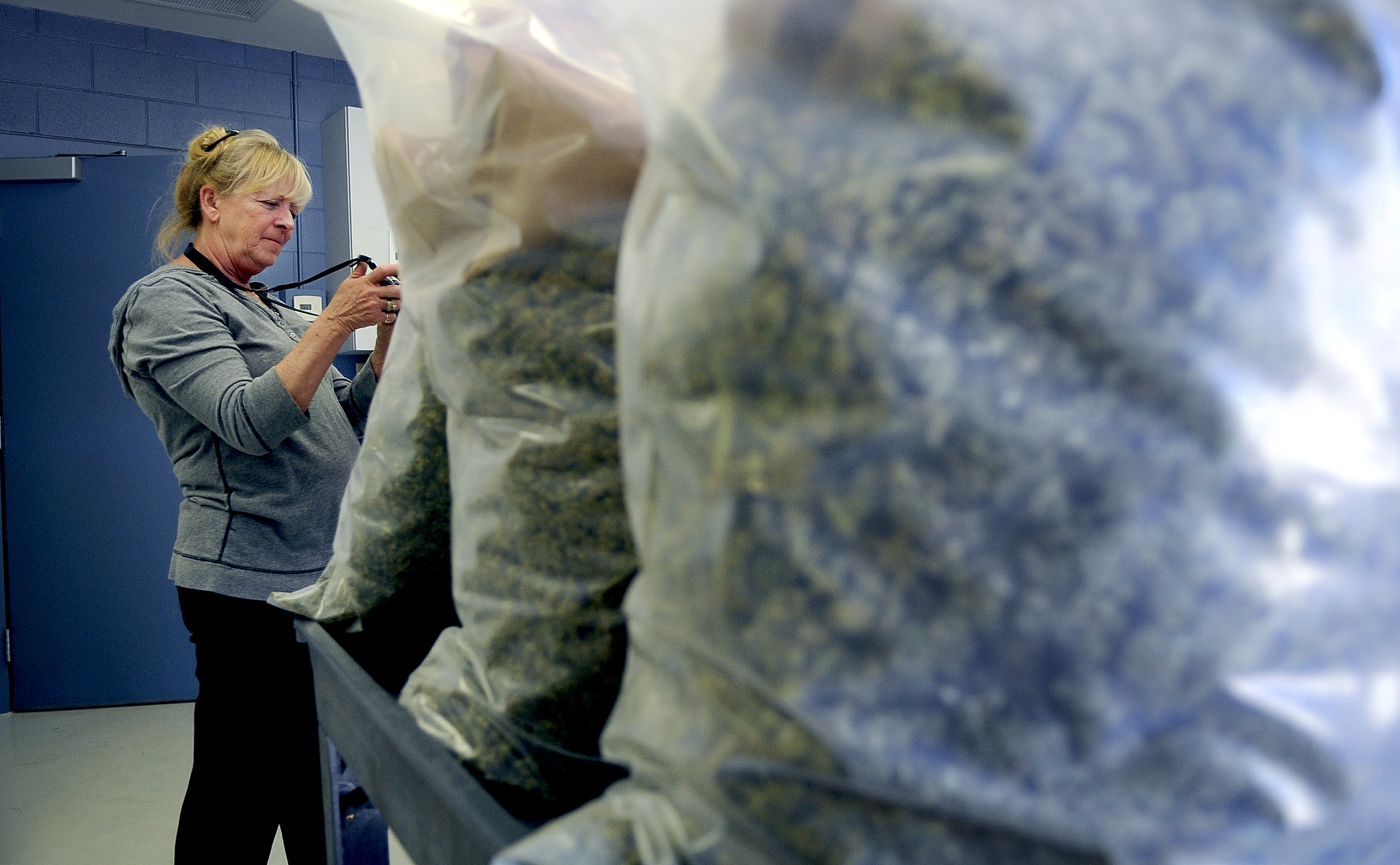 Keep those pot plants potted: No more ripping weed