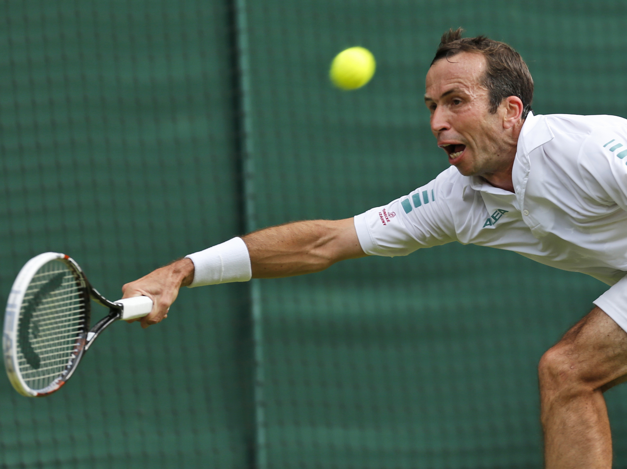 Djokovic, Stepanek entertain at Wimbledon