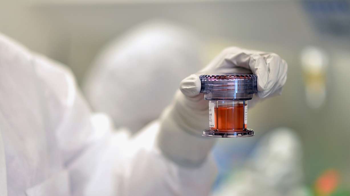 Designer T cells fight viruses after transplants