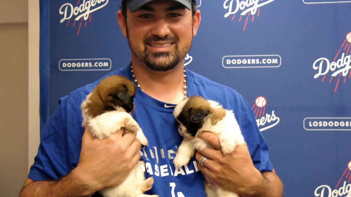 Correction: Dodgers With Dogs story