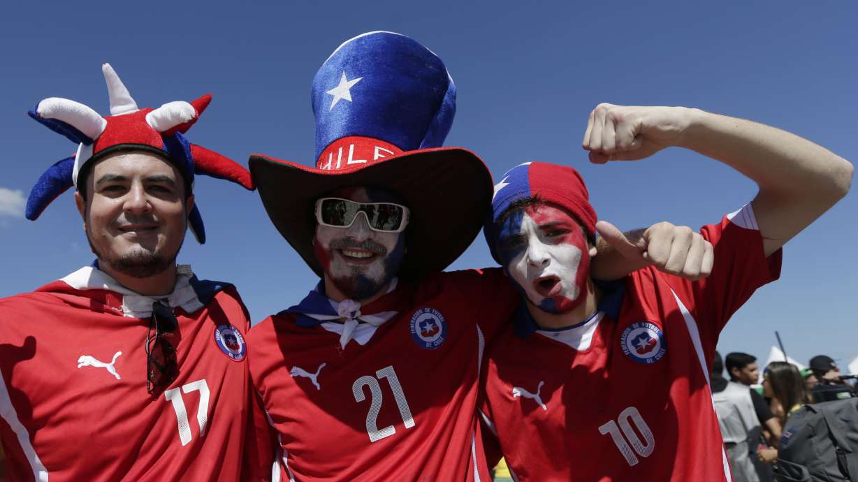 BRAZIL BEAT: Spidey Bear travels the world