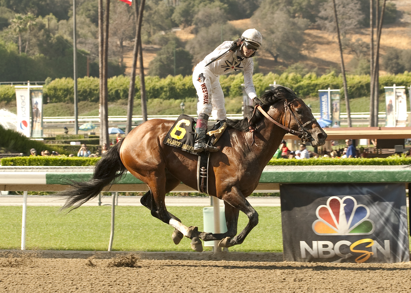 Majestic Harbor wins Gold Cup in an upset