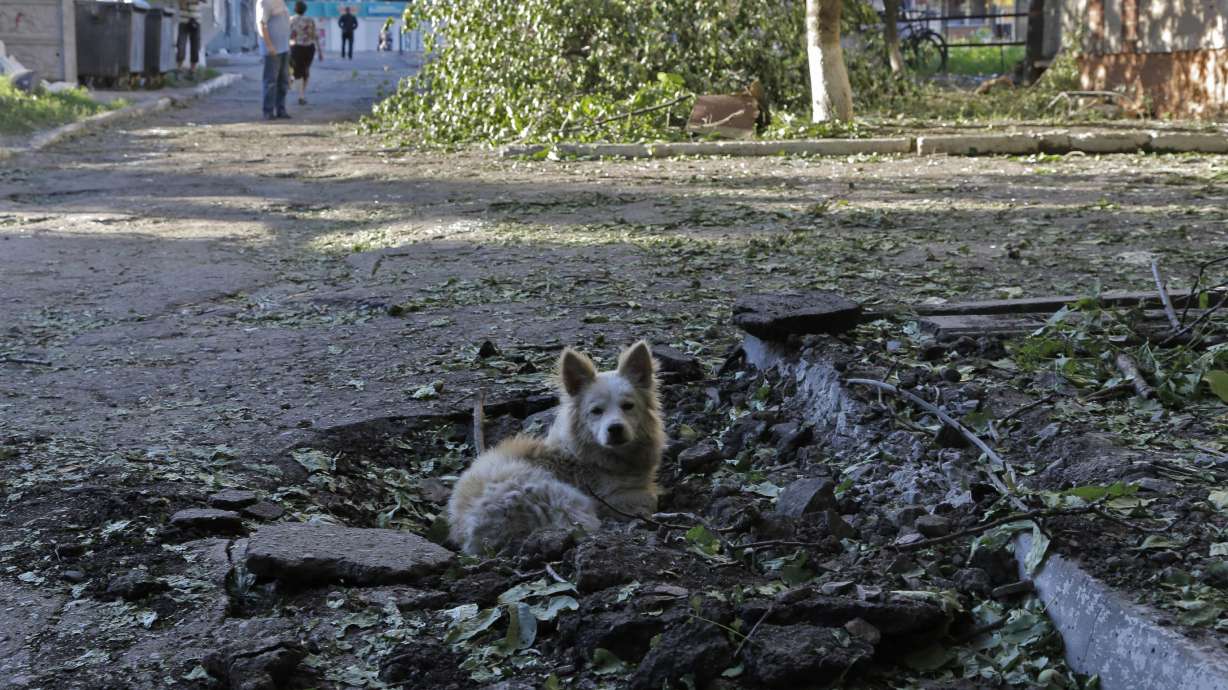 Ukraine's Lviv withdraws bid for 2022 Winter Games