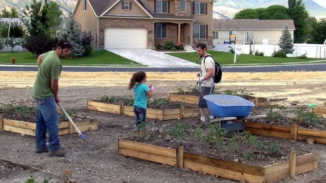 The nonprofit group Legacy Initiative partnered with the city of 
American Fork to convert an unused city-owned property into a 
community garden. Tuesday, July 1, 2014, volunteers work on the 
garden at 700 W. 450 North. A ribbon-cutting is planned for July 12.