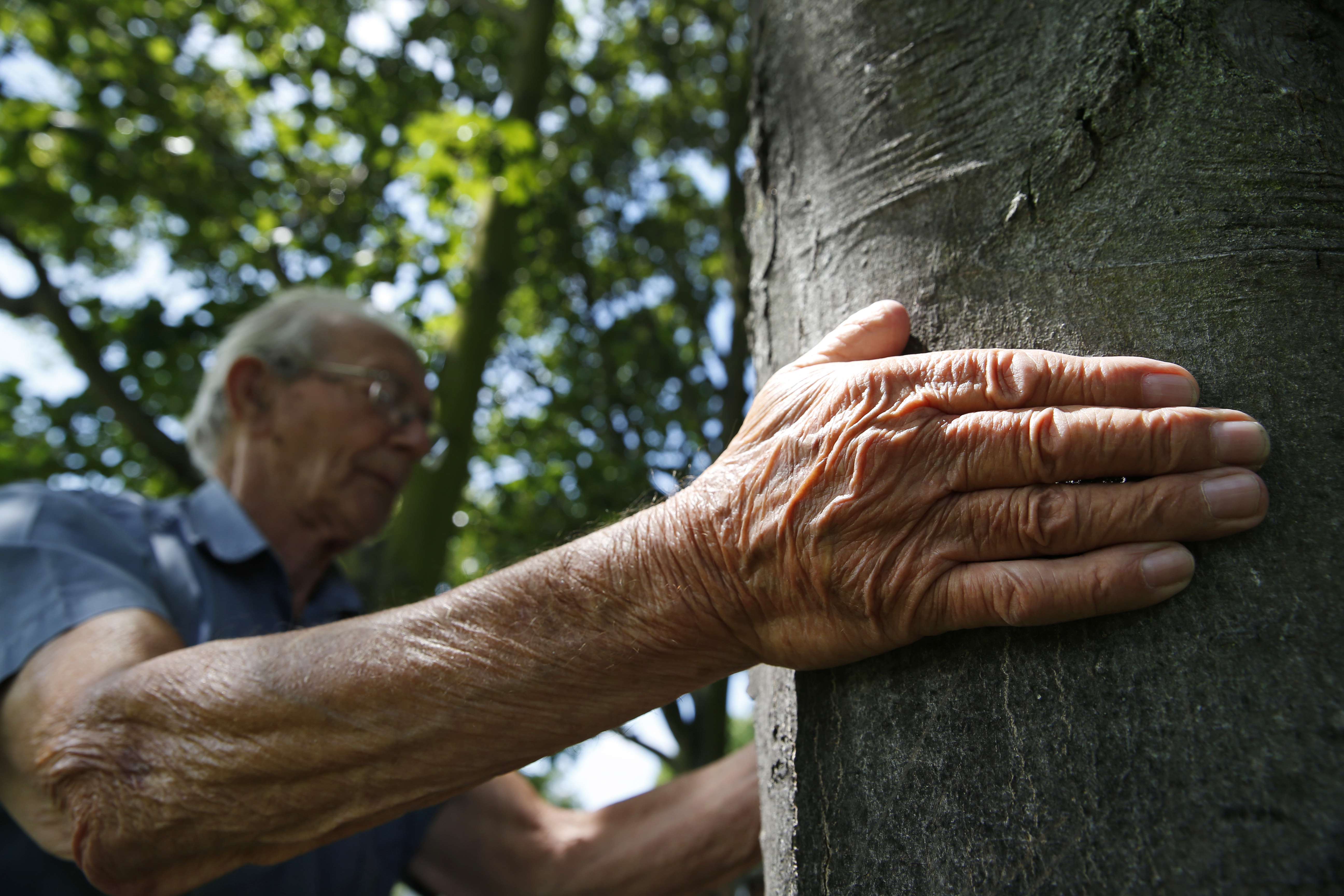 Seniors learn "parkour," sport of daredevil youths