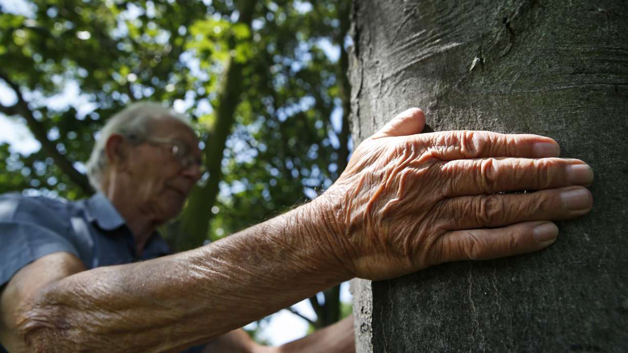 Seniors learn "parkour," sport of daredevil youths